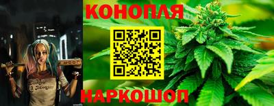 гидра Владикавказ