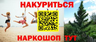 гашик Владимир