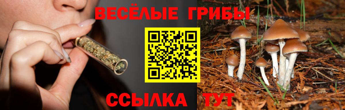 Псилоцибиновые грибы GOLDEN TEACHER Ангарск